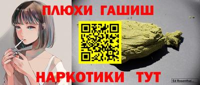 гидра Можга