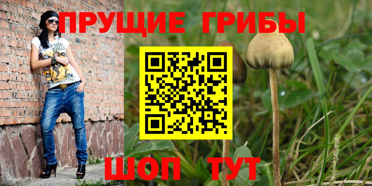 купить  сайты  Псилоцибиновые грибы Psilocybe  Советск  Вход с VPN  Галлюциногенные грибы Magic Shrooms 