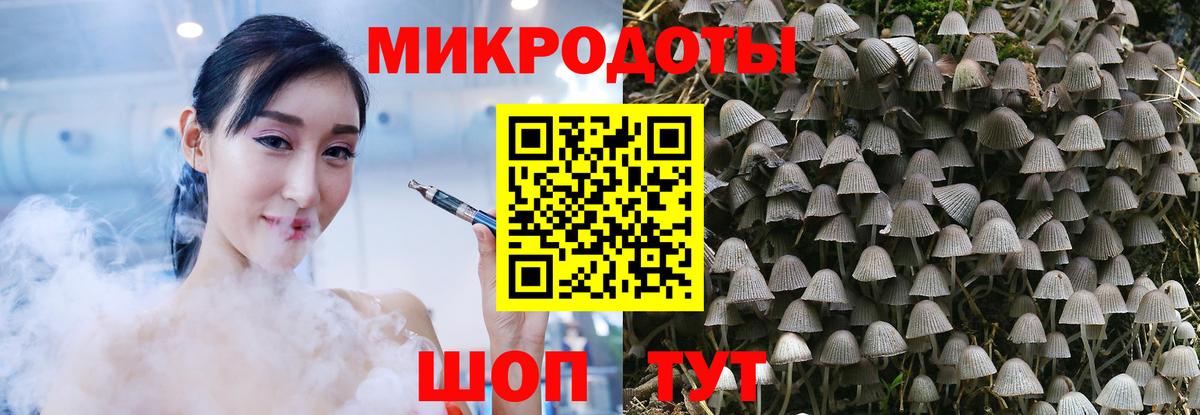 Псилоцибиновые грибы ЛСД Советск